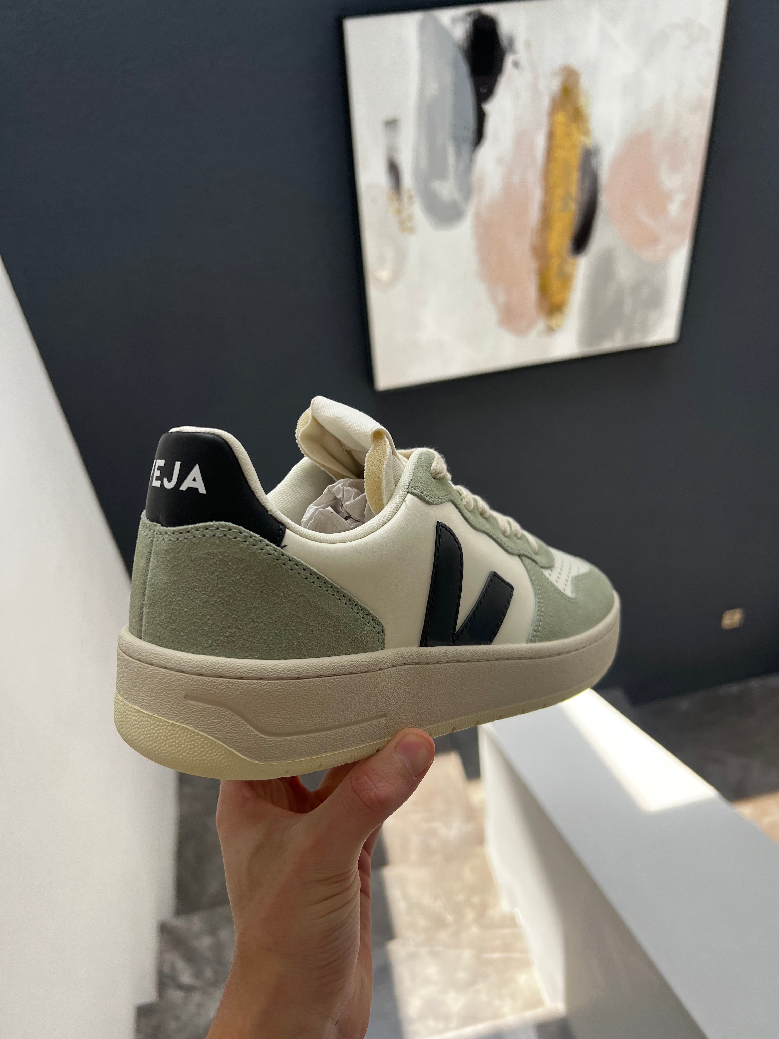 Veja V-10